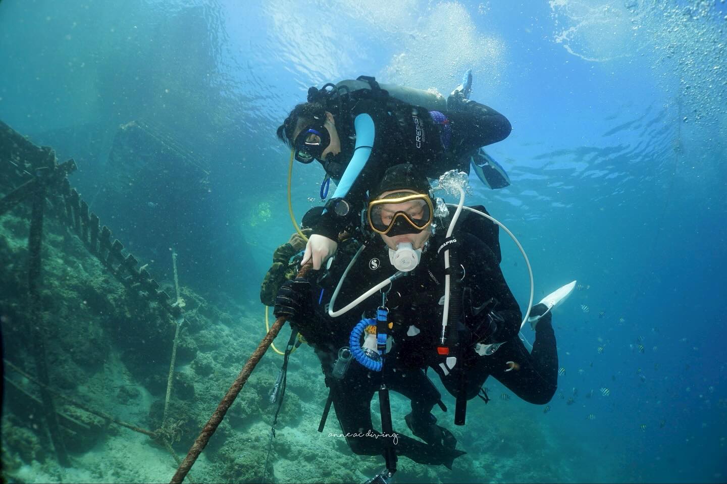 บุ๋ม - ปนัดดา วงศ์ผู้ดี