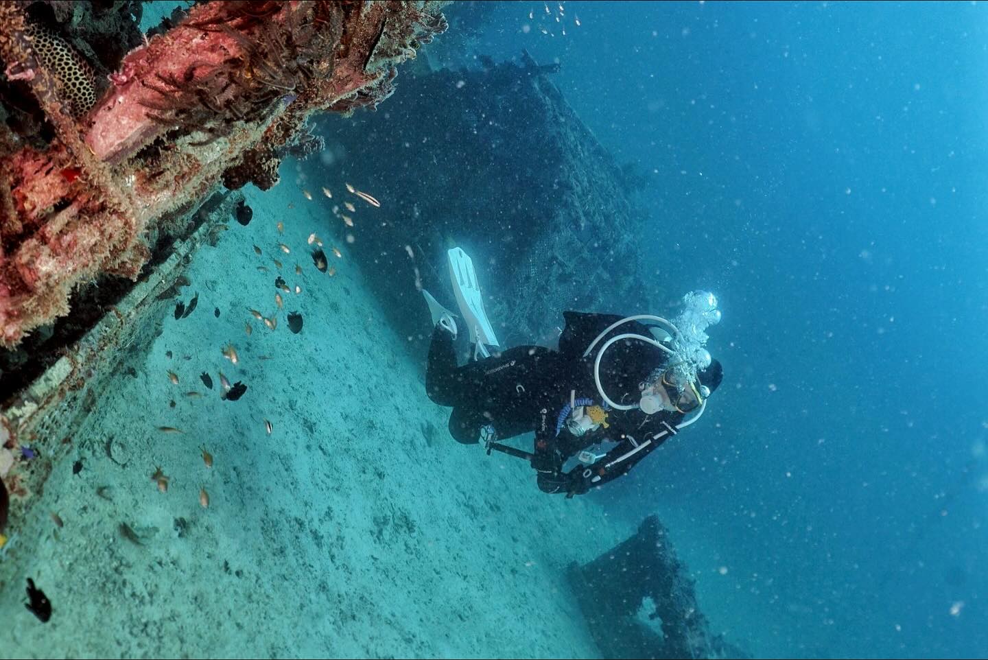 บุ๋ม - ปนัดดา วงศ์ผู้ดี