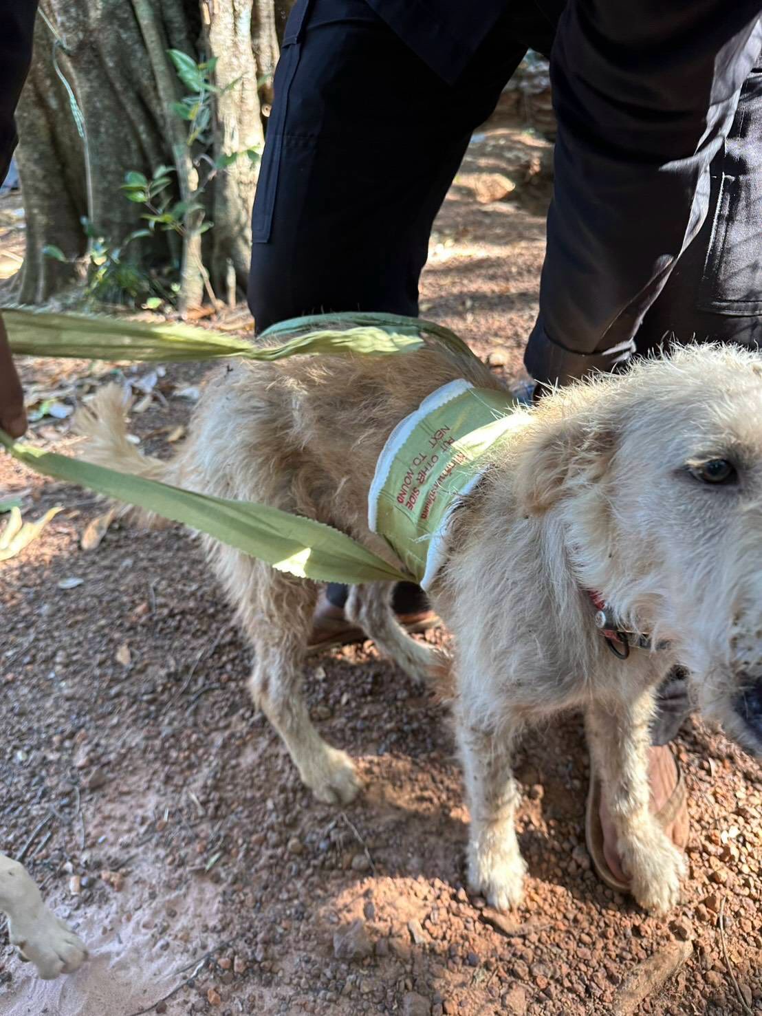 บุ๋ม - ปนัดดา วงศ์ผู้ดี