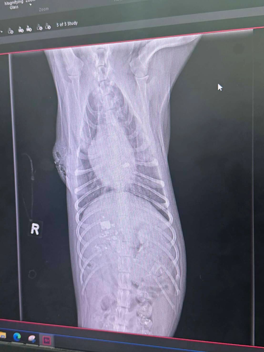 บุ๋ม - ปนัดดา วงศ์ผู้ดี