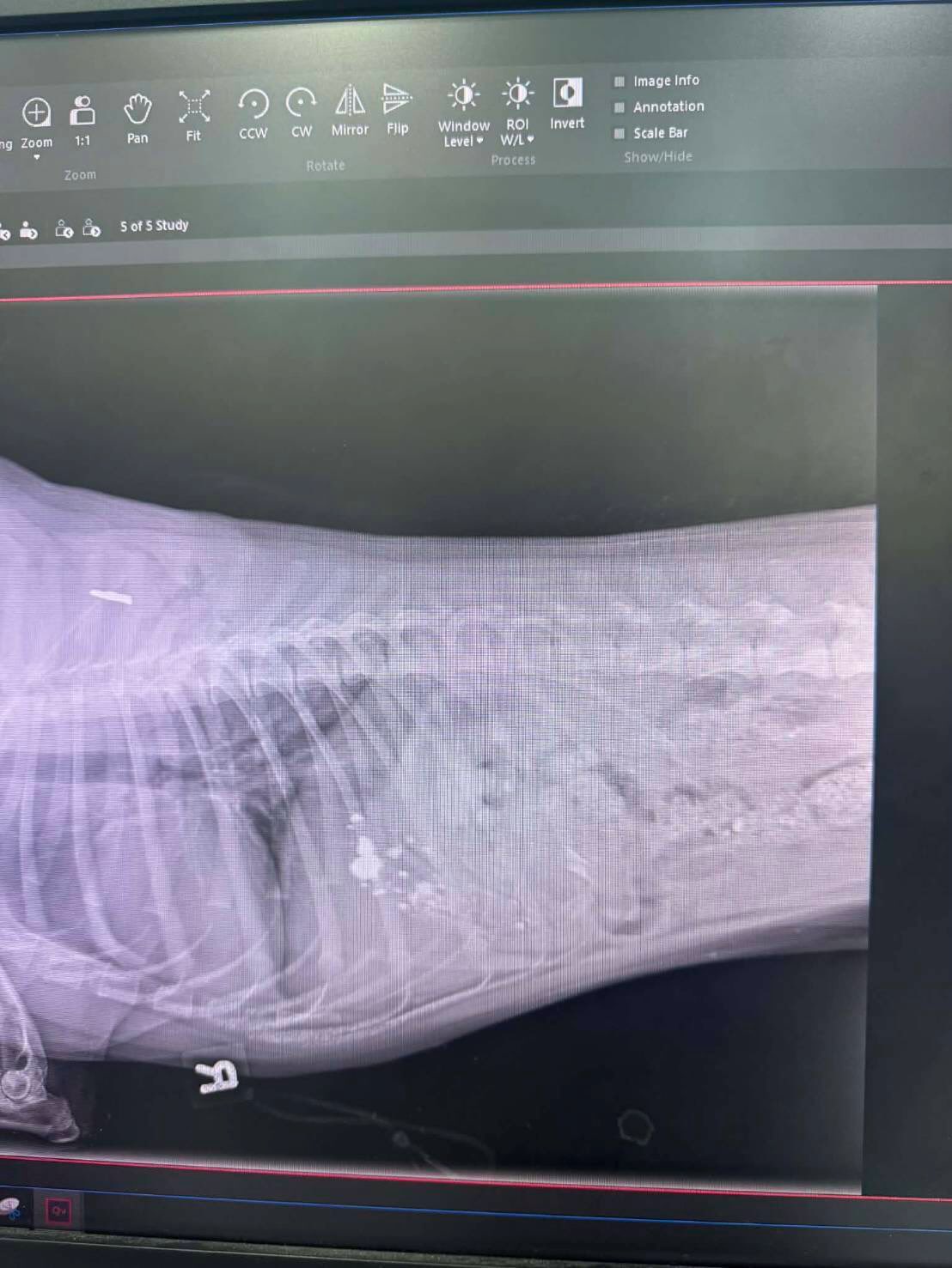 บุ๋ม - ปนัดดา วงศ์ผู้ดี