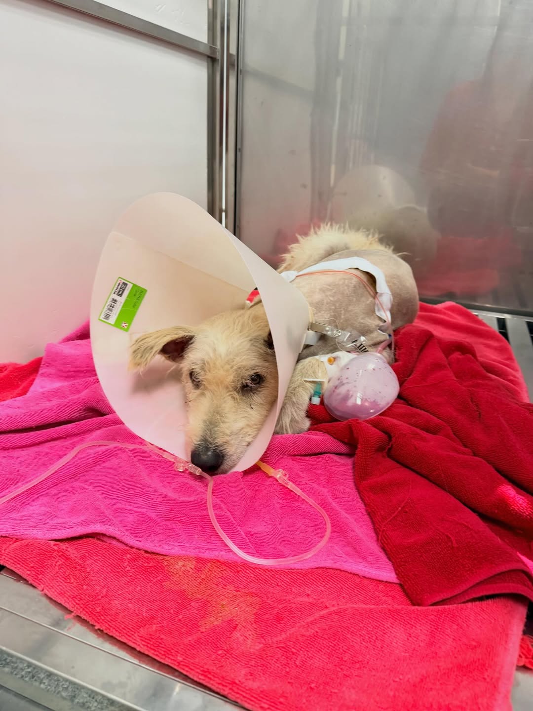 บุ๋ม - ปนัดดา วงศ์ผู้ดี