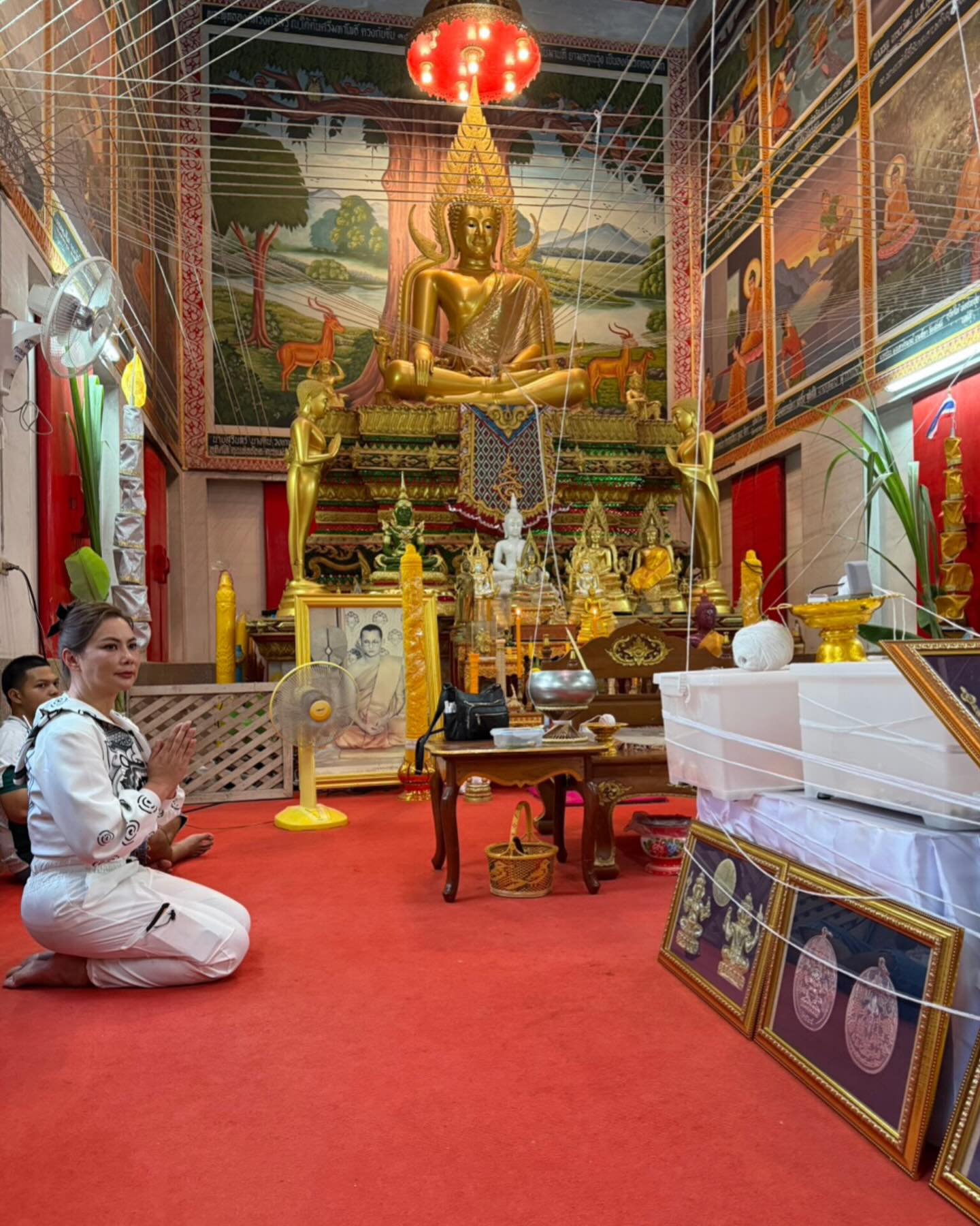 บุ๋ม - ปนัดดา วงศ์ผู้ดี