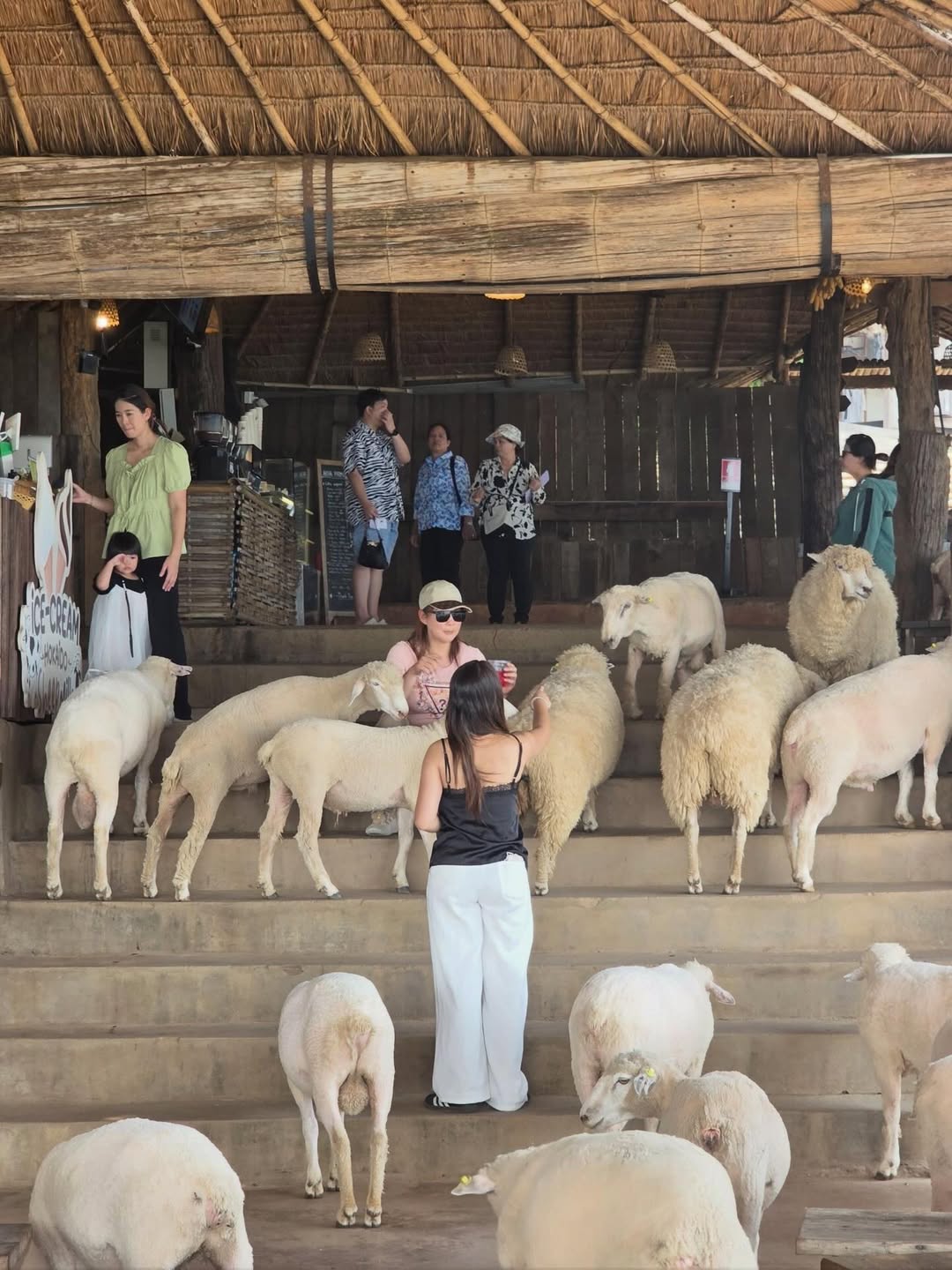 บุ๋ม - ปนัดดา วงศ์ผู้ดี