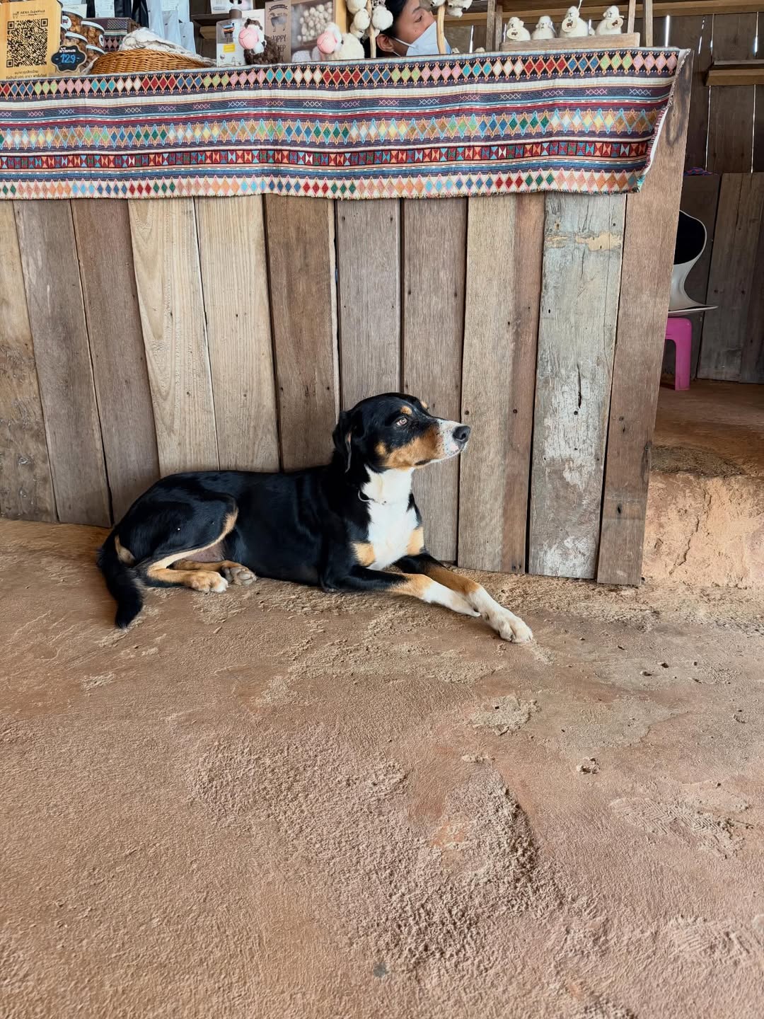 บุ๋ม - ปนัดดา วงศ์ผู้ดี