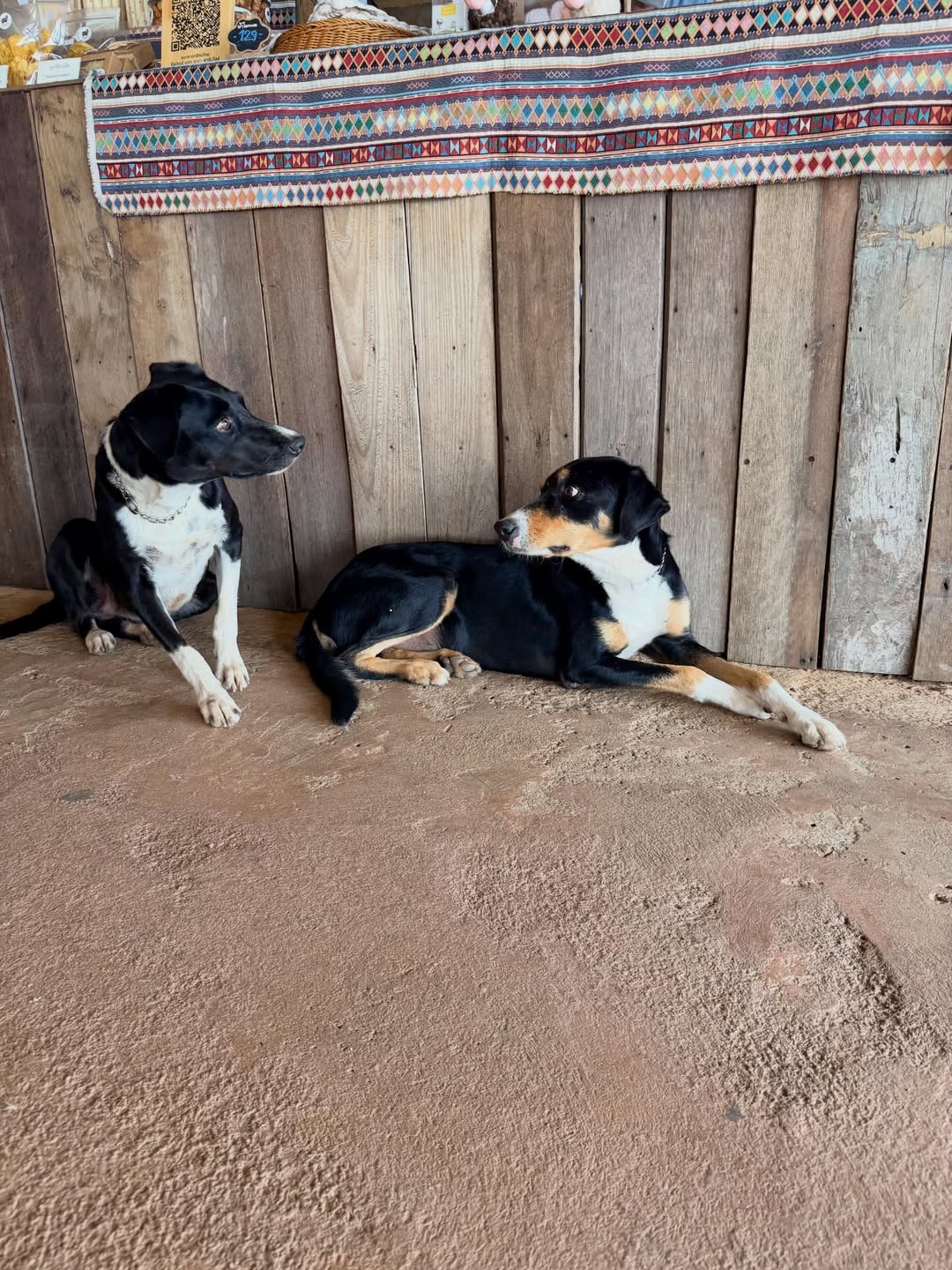 บุ๋ม - ปนัดดา วงศ์ผู้ดี