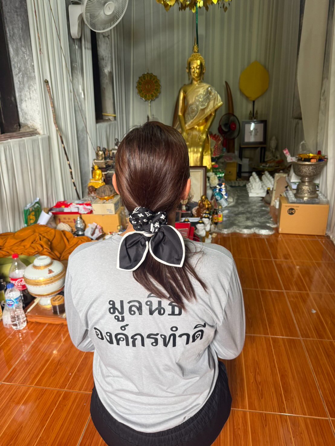 บุ๋ม - ปนัดดา วงศ์ผู้ดี