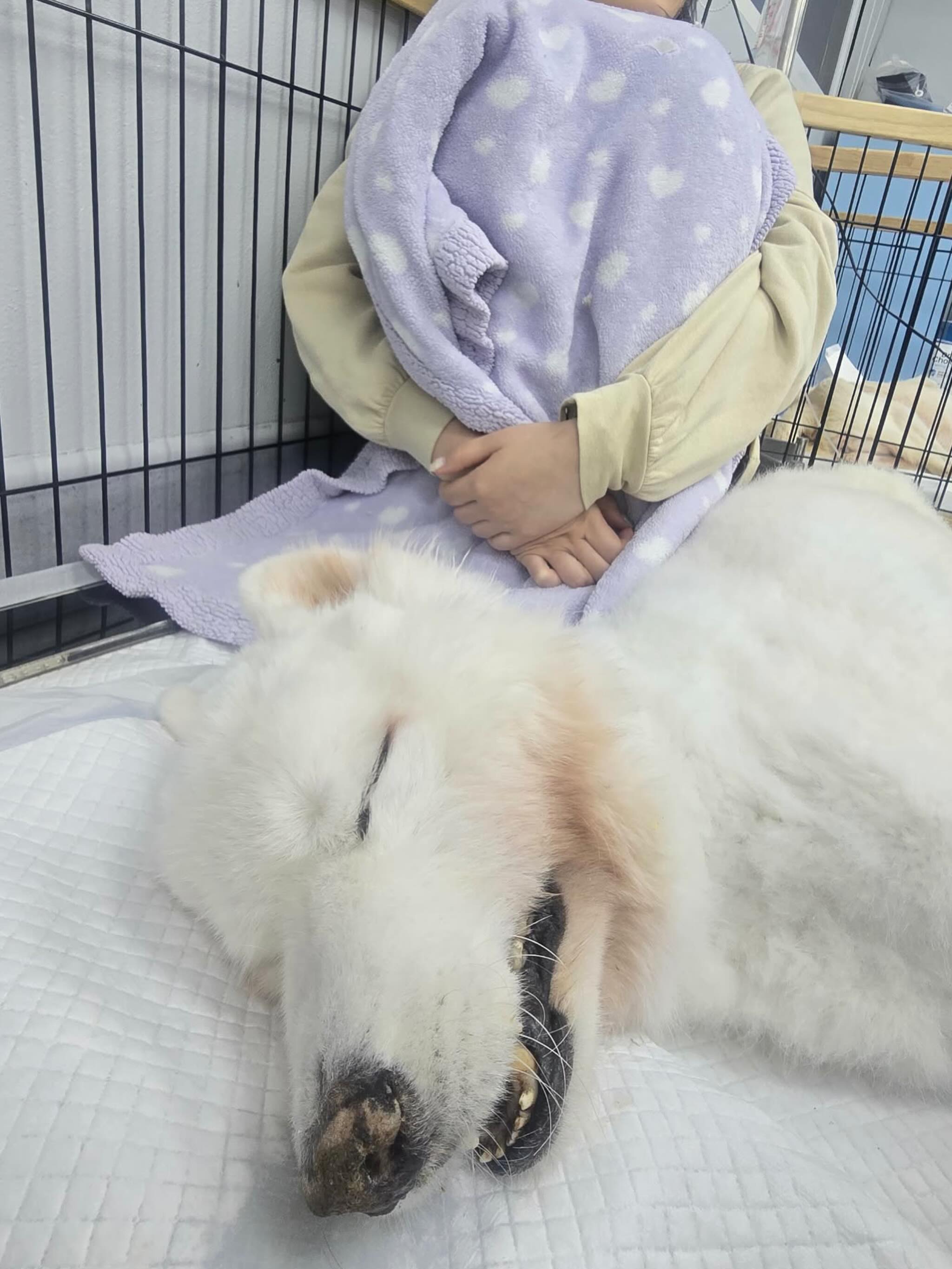 บุ๋ม - ปนัดดา วงศ์ผู้ดี