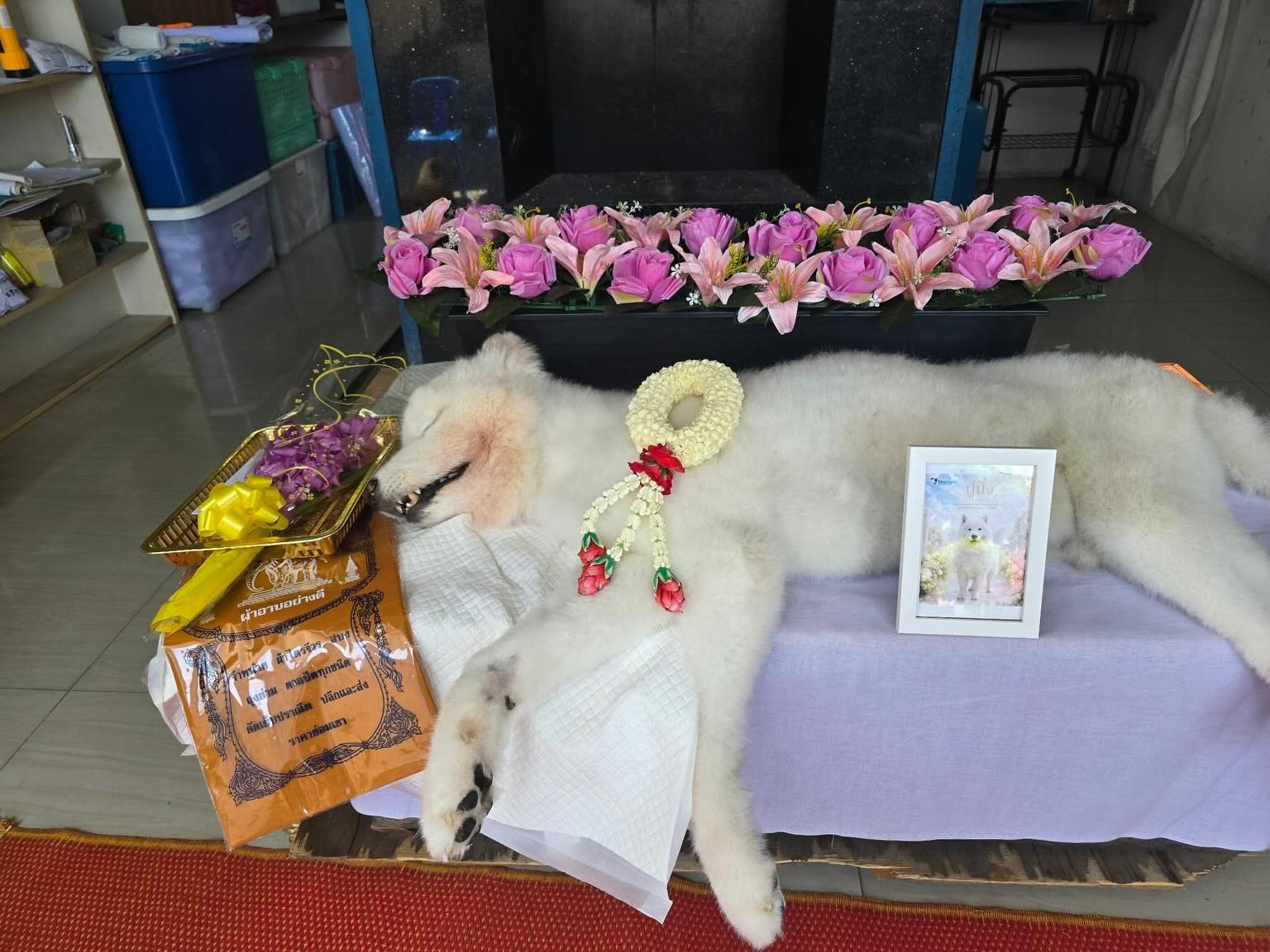 บุ๋ม - ปนัดดา วงศ์ผู้ดี