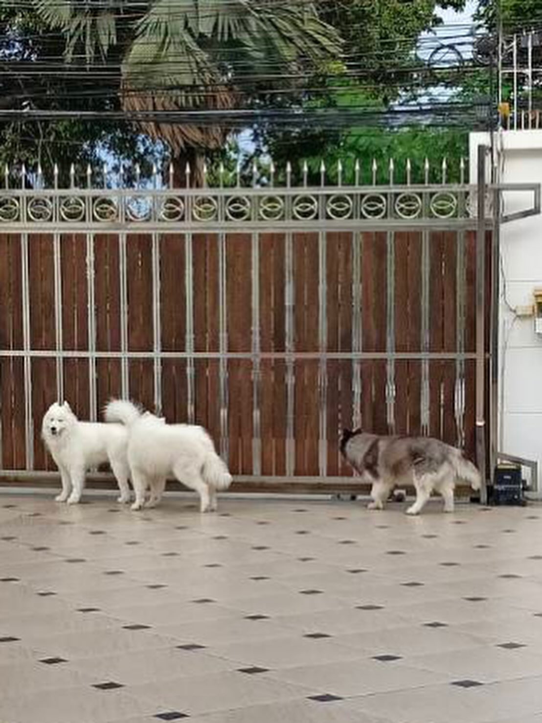 บุ๋ม - ปนัดดา วงศ์ผู้ดี
