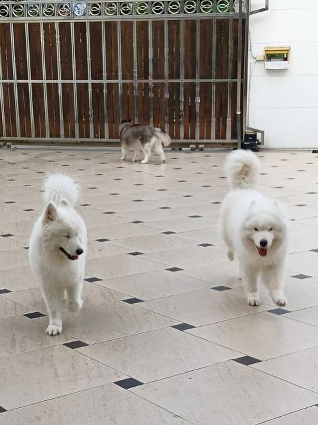 บุ๋ม - ปนัดดา วงศ์ผู้ดี