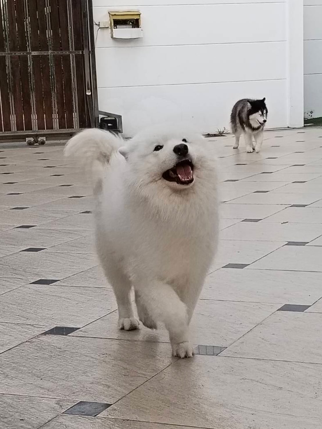 บุ๋ม - ปนัดดา วงศ์ผู้ดี