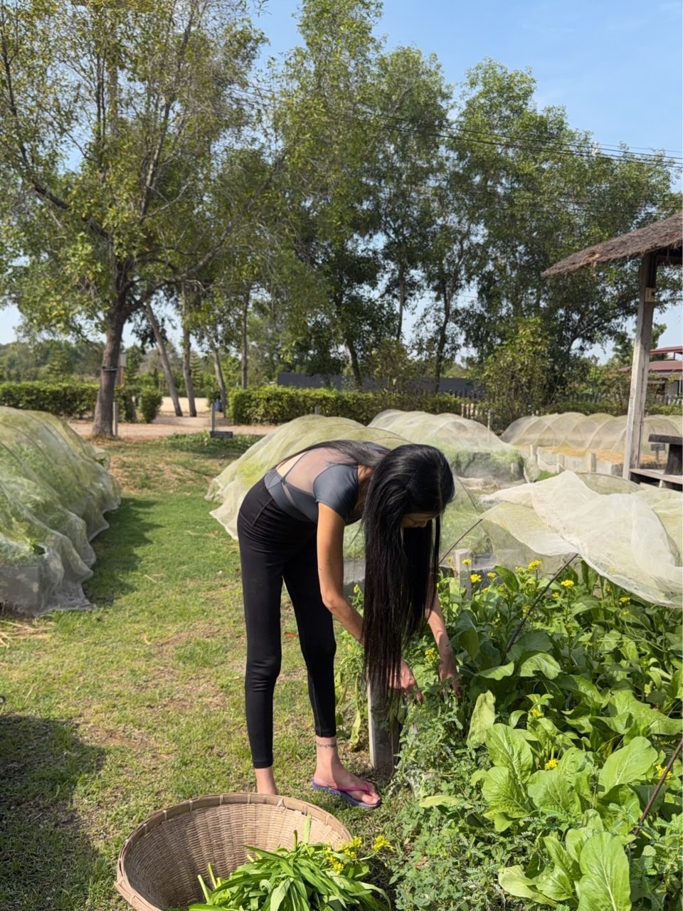 ปิ่น - เก็จมณี วรรธนะสิน