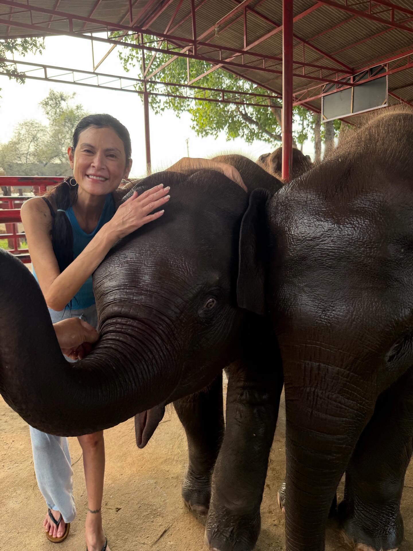 ปิ่น - เก็จมณี วรรธนะสิน