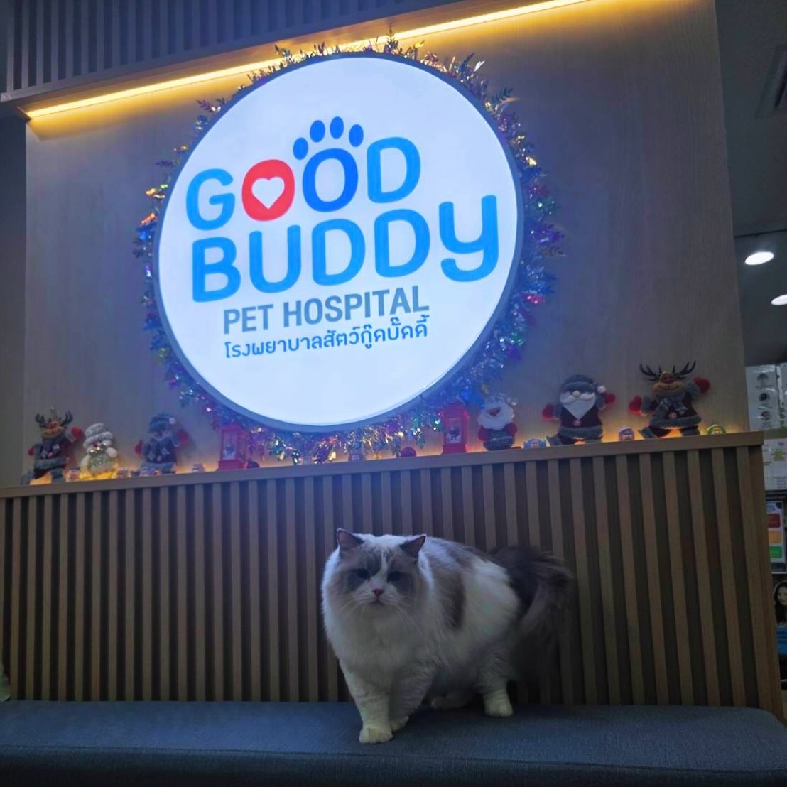 ปิ่น - เก็จมณี วรรธนะสิน