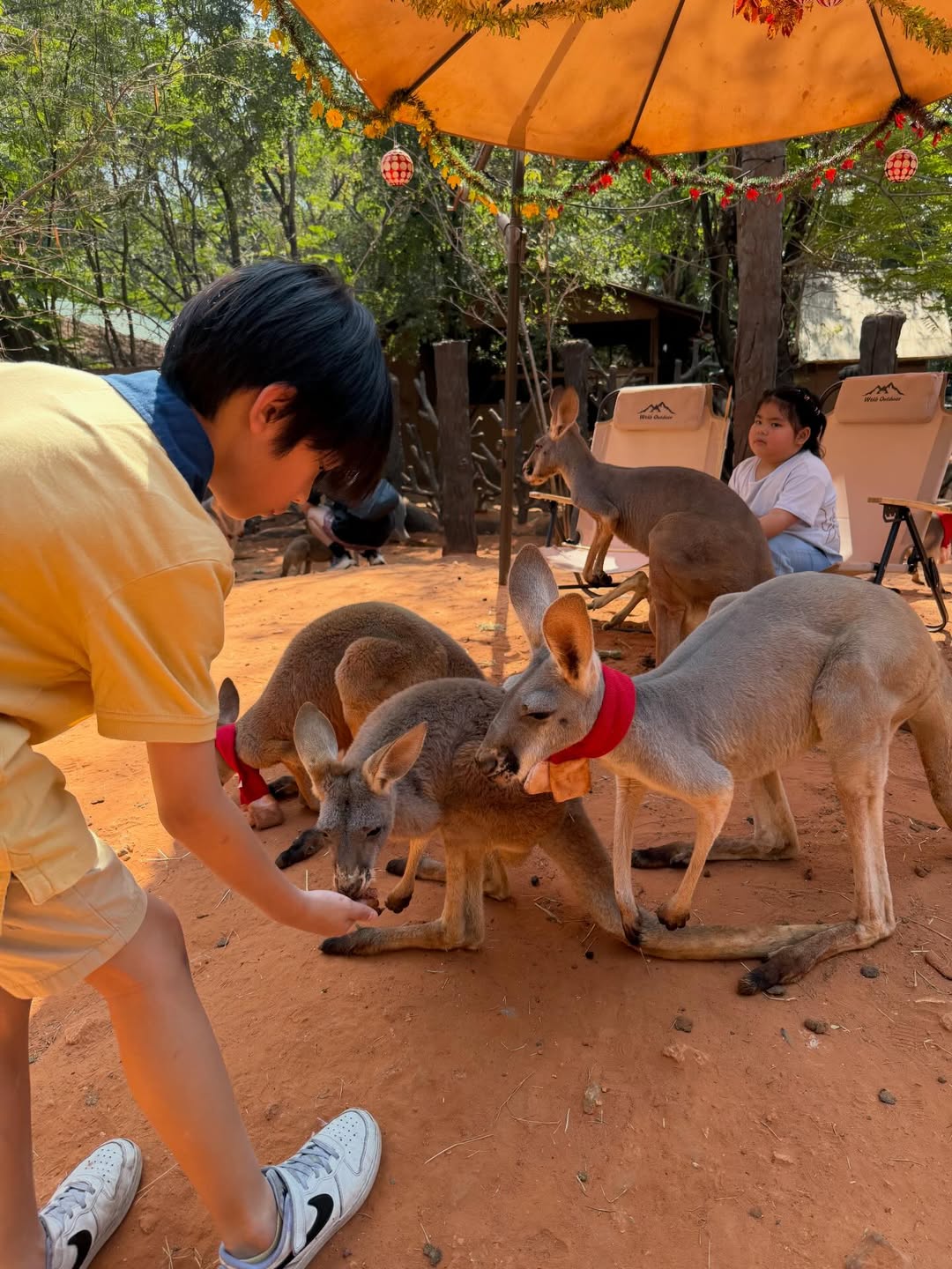 แพท - ณปภา ตันตระกูล