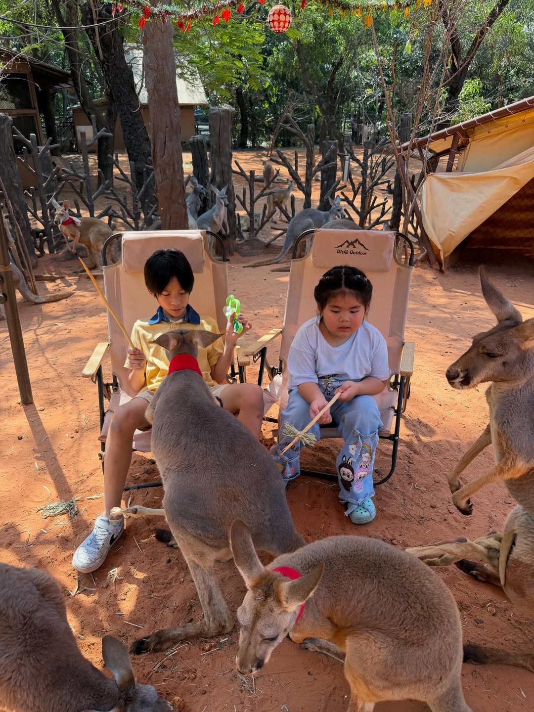 แพท - ณปภา ตันตระกูล