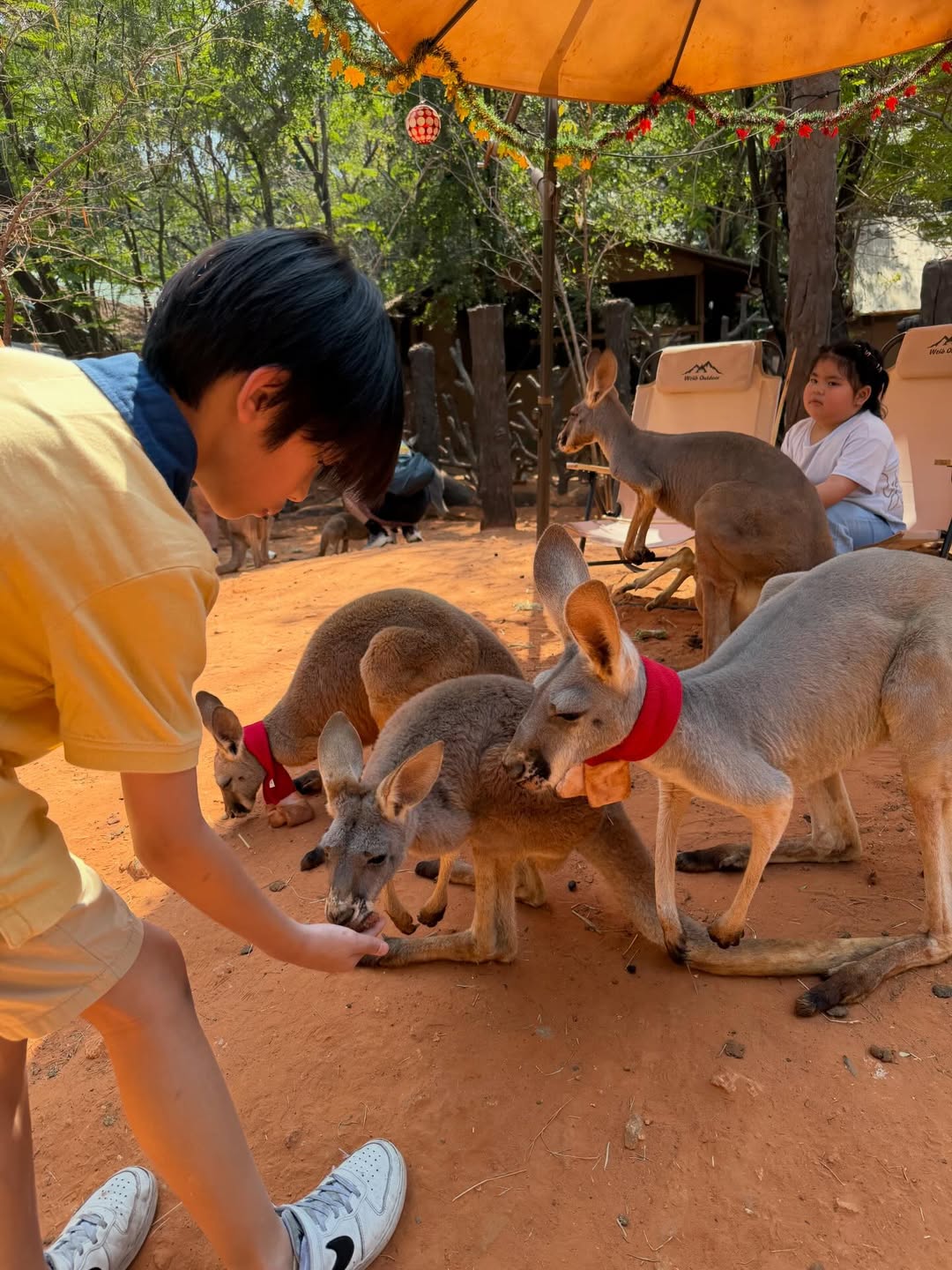 แพท - ณปภา ตันตระกูล