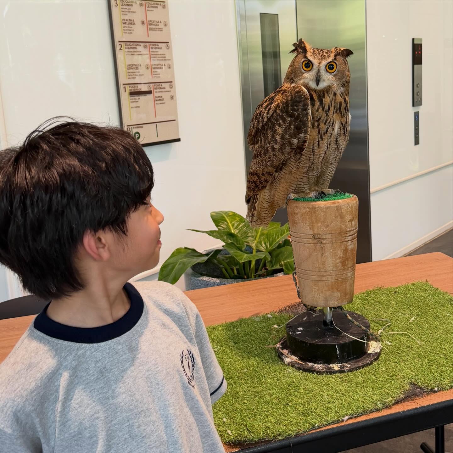 แพท - ณปภา ตันตระกูล