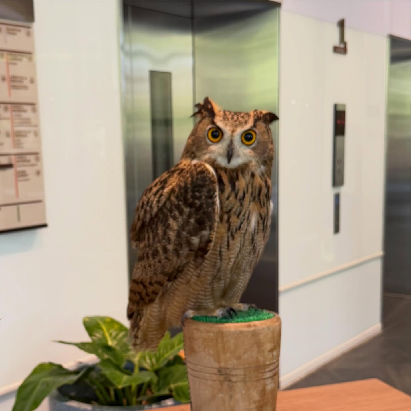 แพท - ณปภา ตันตระกูล