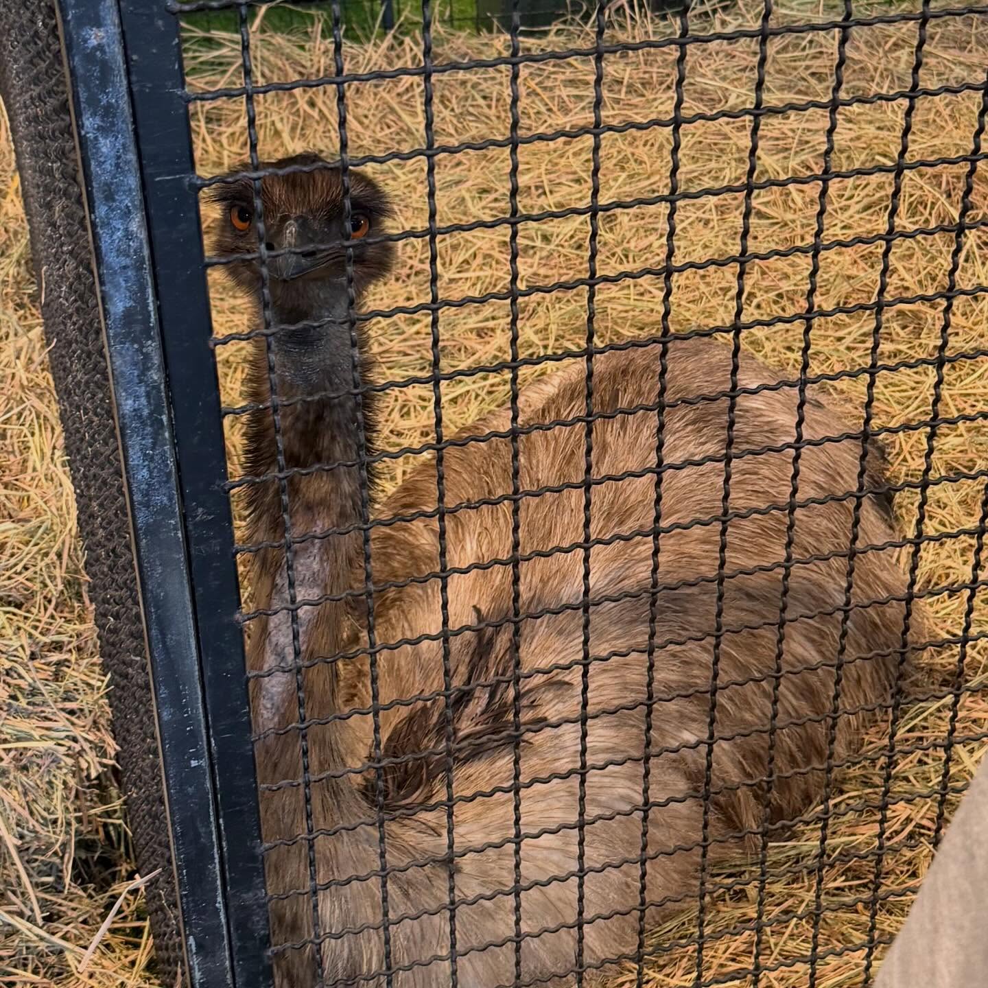 แพท - ณปภา ตันตระกูล