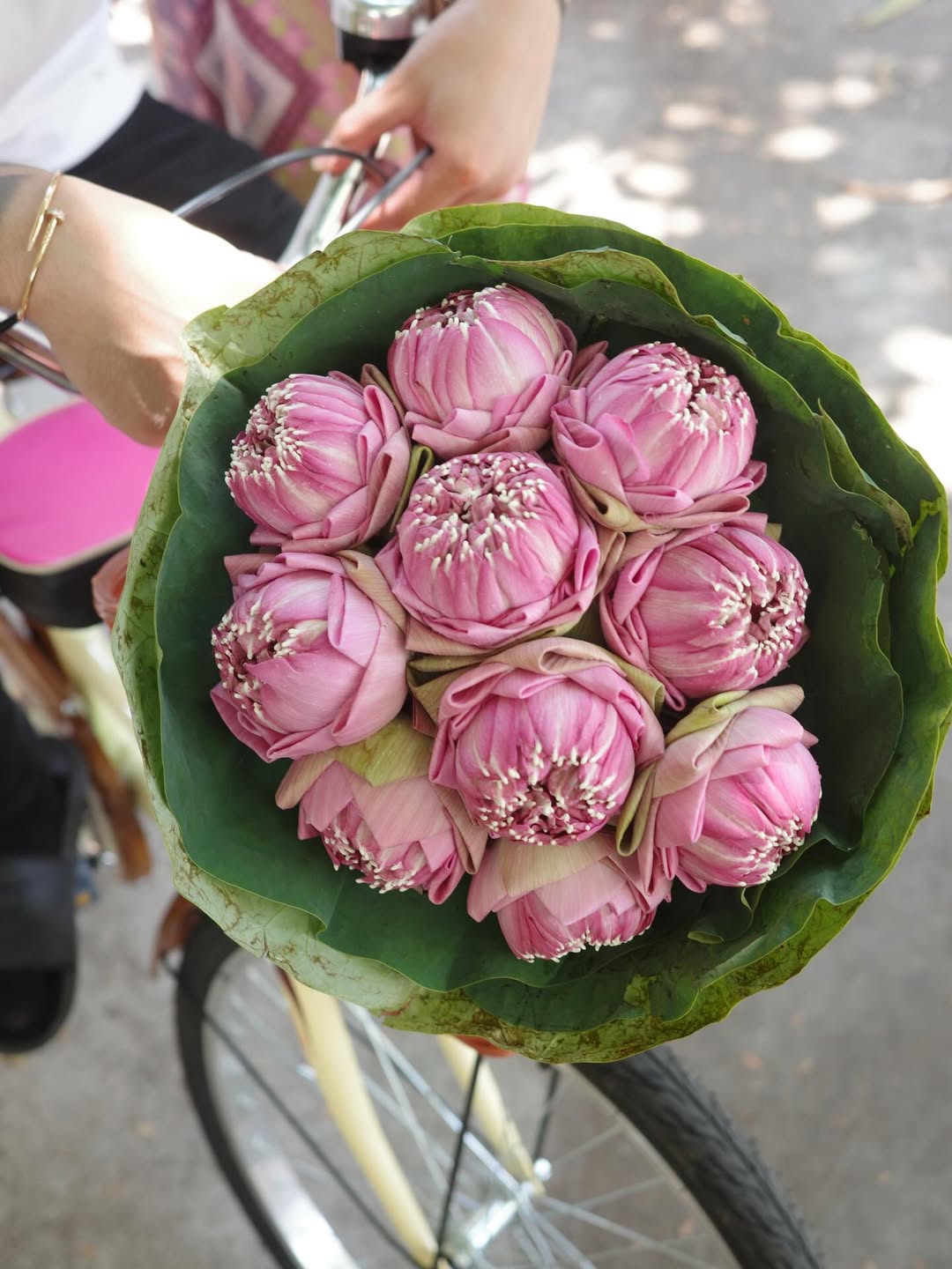 แพท - ณปภา ตันตระกูล