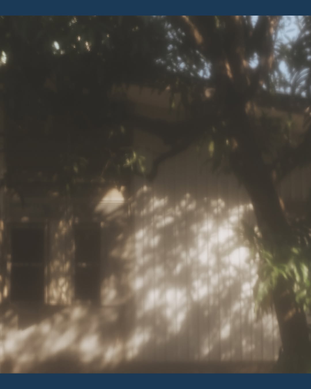 โดม - จารุวัฒน์ เชี่ยวอร่าม