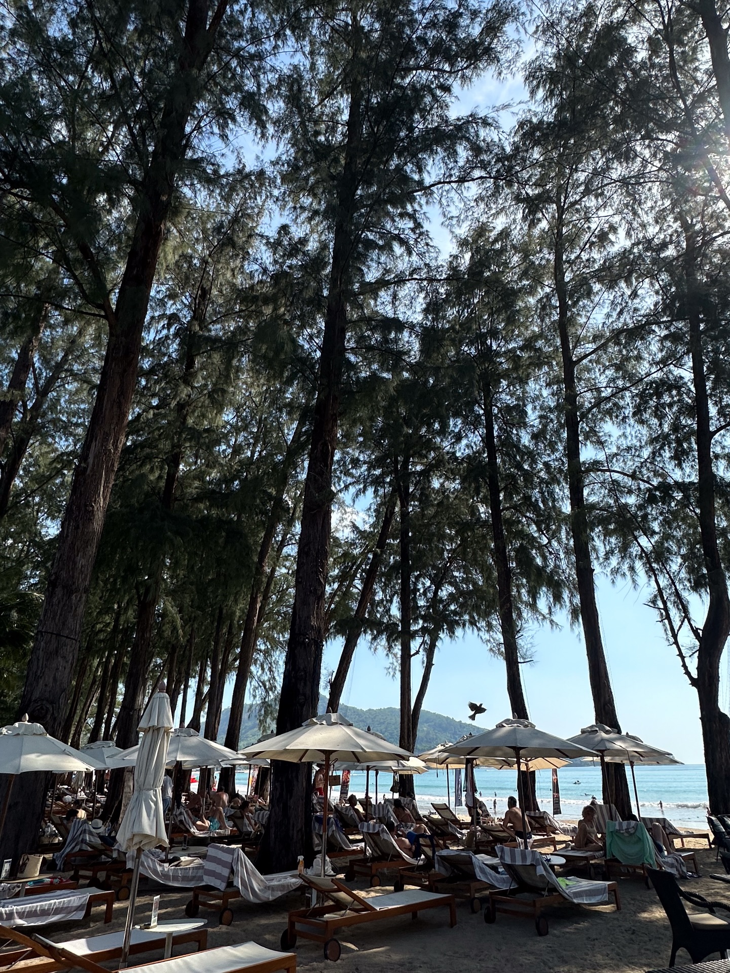 บิวกิ้น - พุฒิพงศ์ อัสสรัตนกุล