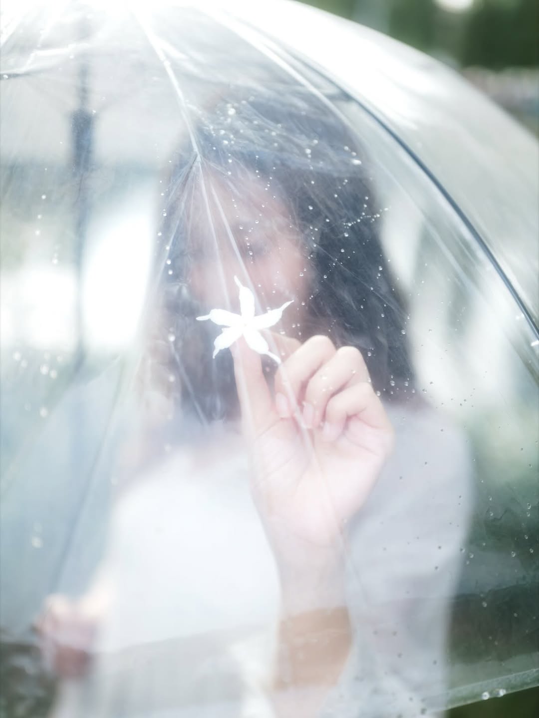 พิกเล็ท - ชาราฎา อิมราพร