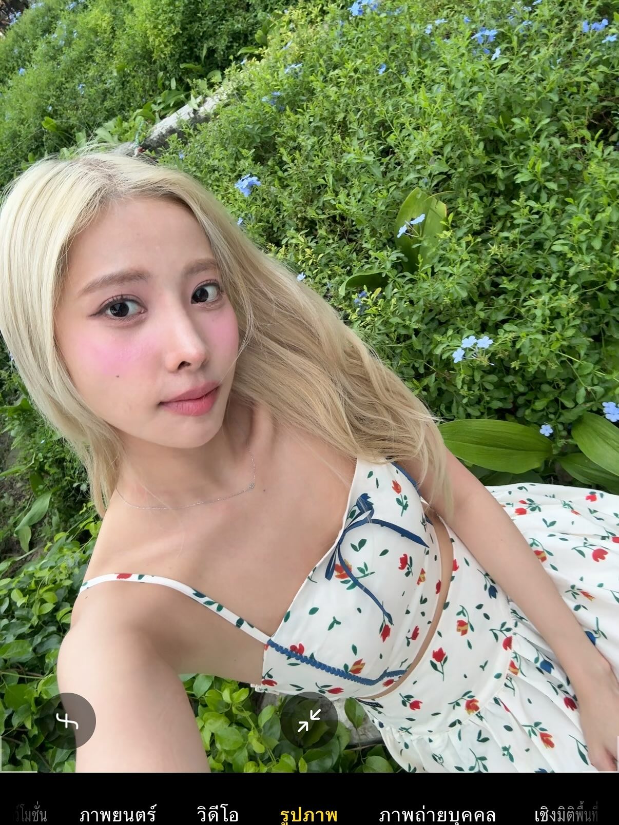 พิกเล็ท - ชาราฎา อิมราพร