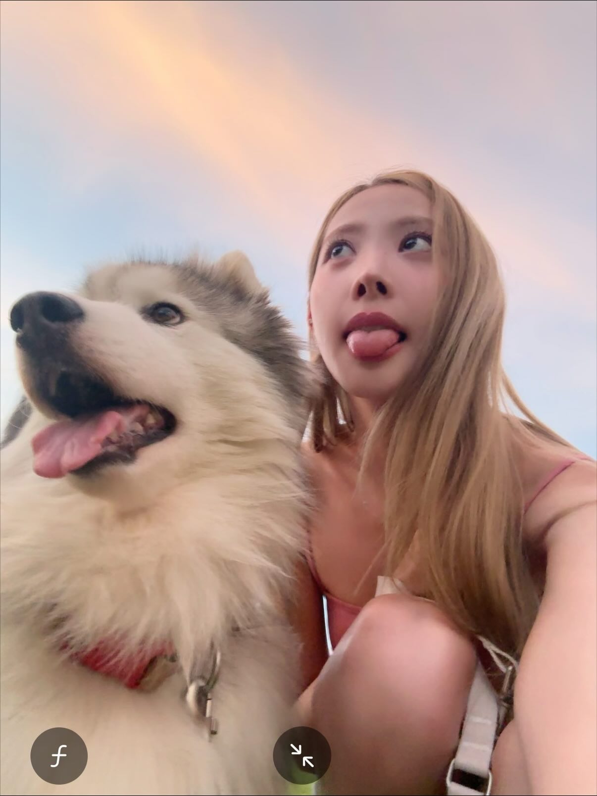 พิกเล็ท - ชาราฎา อิมราพร