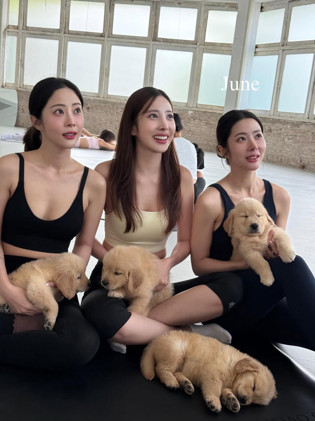 พิกเล็ท - ชาราฎา อิมราพร