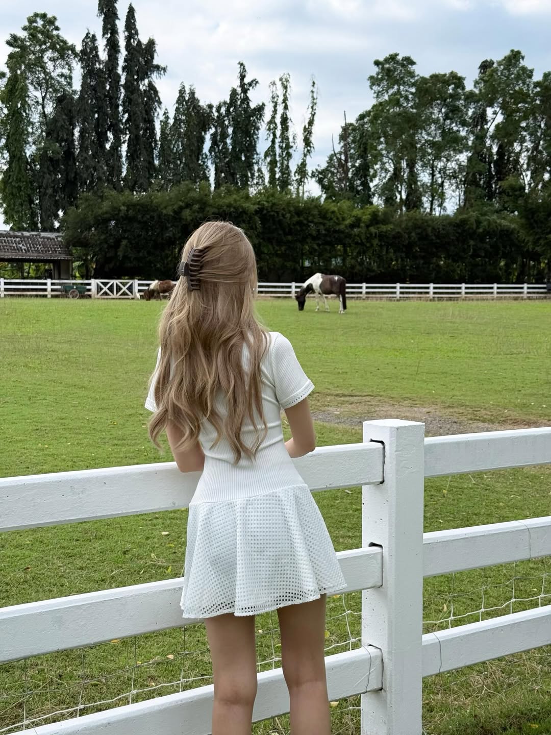 พิกเล็ท - ชาราฎา อิมราพร