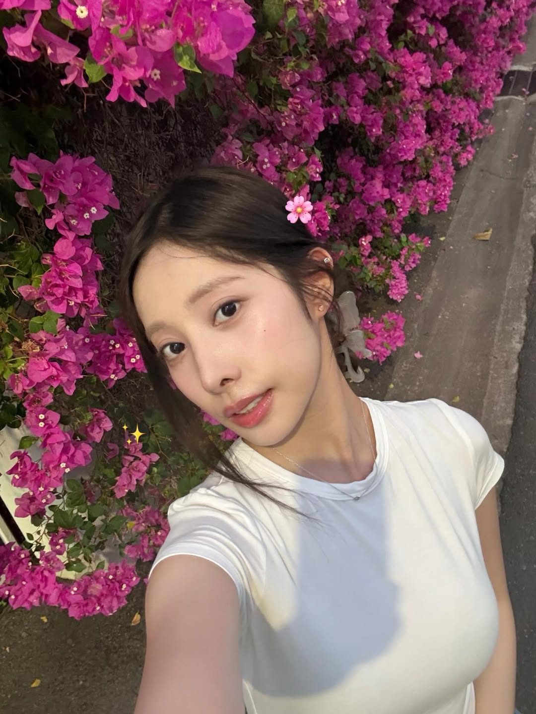 พิกเล็ท - ชาราฎา อิมราพร