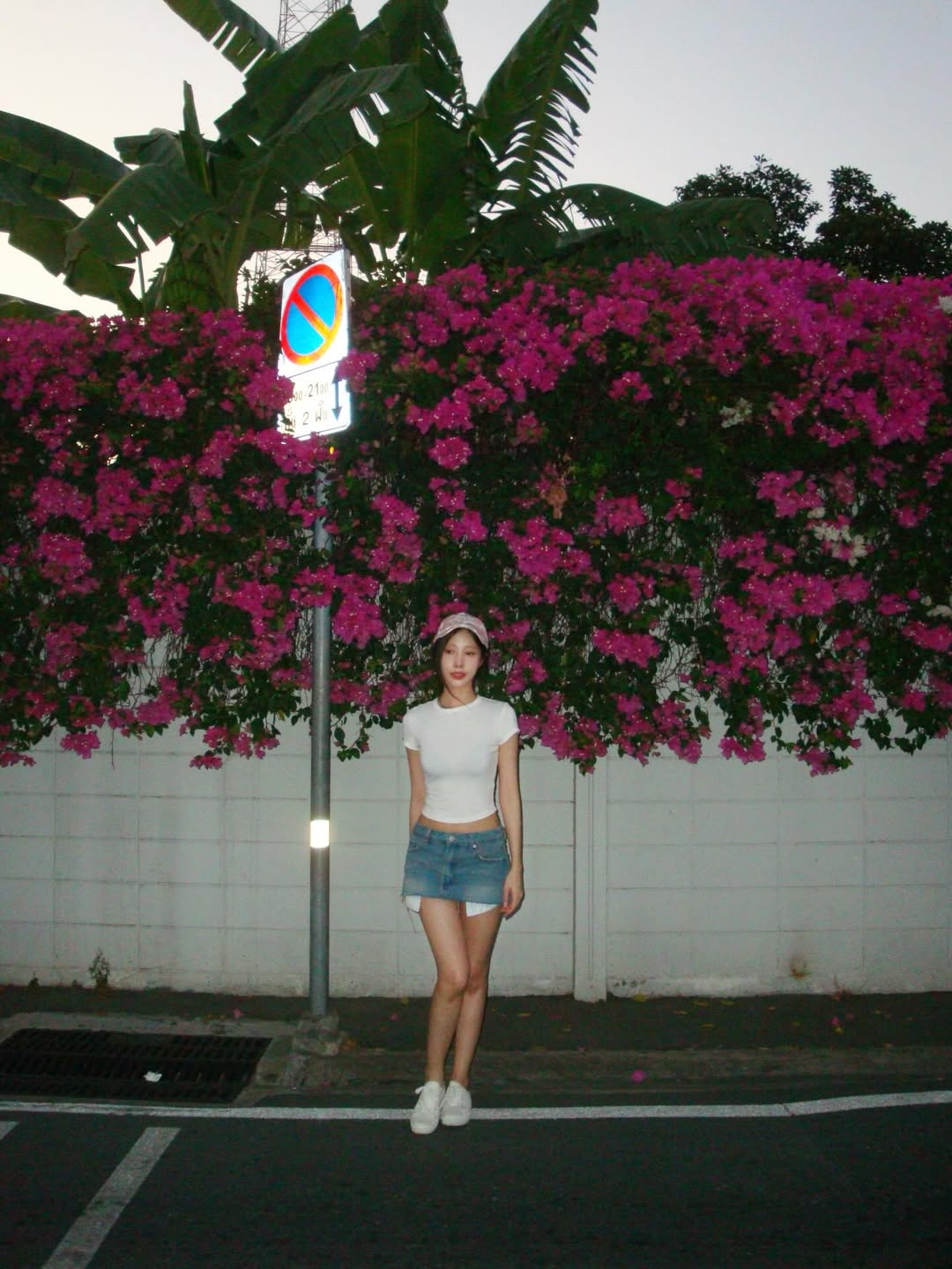 พิกเล็ท - ชาราฎา อิมราพร