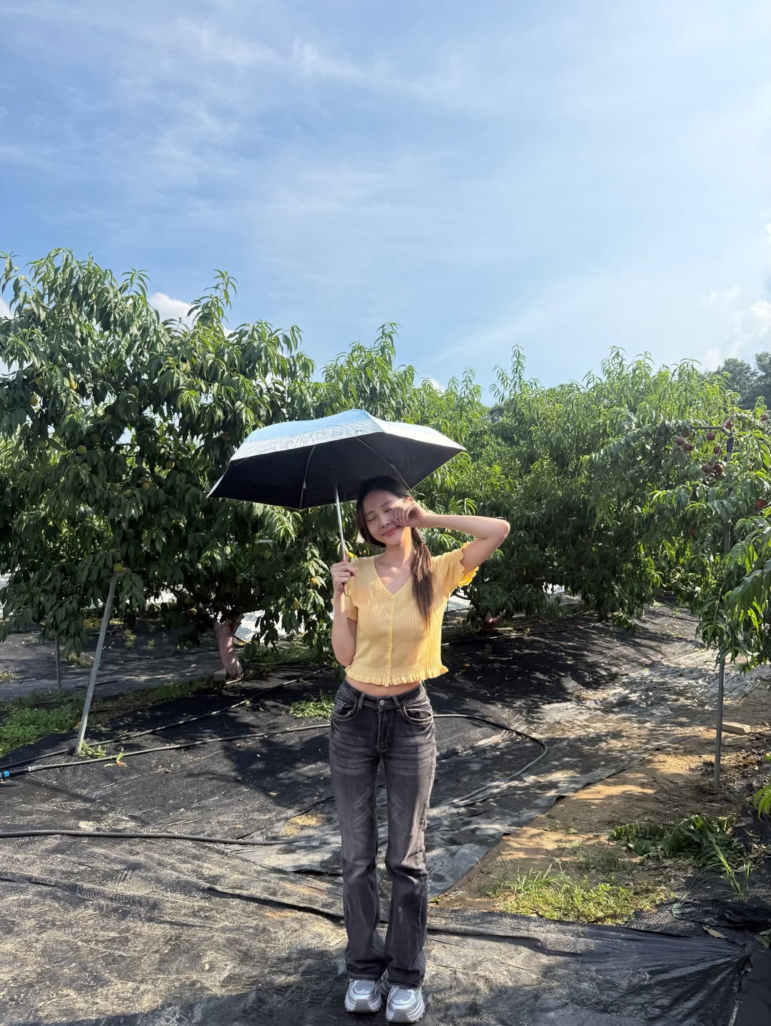 พิกเล็ท - ชาราฎา อิมราพร