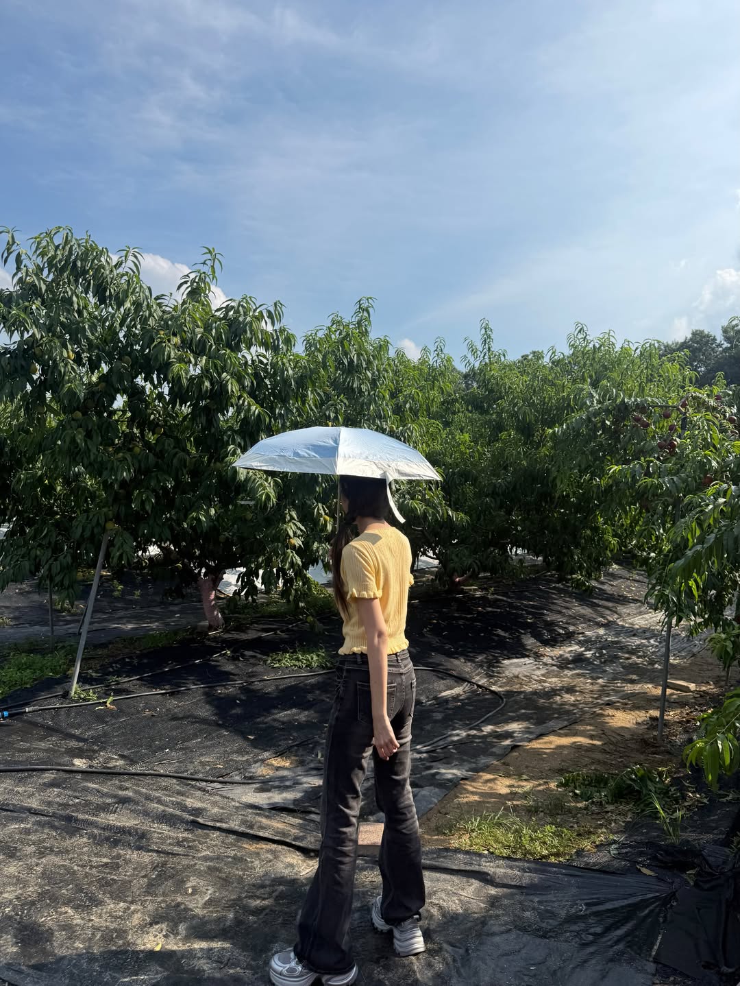 พิกเล็ท - ชาราฎา อิมราพร