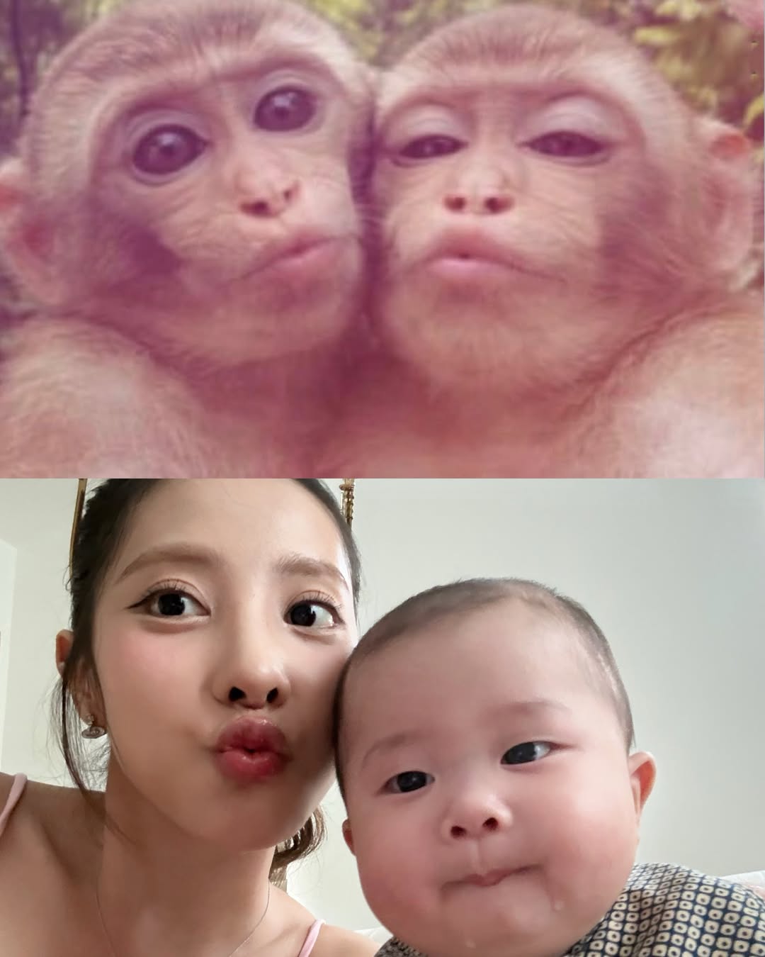 พิกเล็ท - ชาราฎา อิมราพร