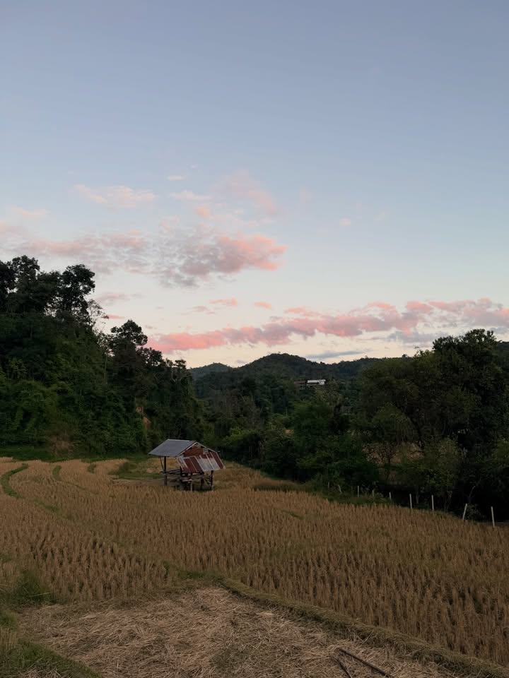 เอิร์ธ - กัษมนณัฏฐ์ นามวิโรจน์