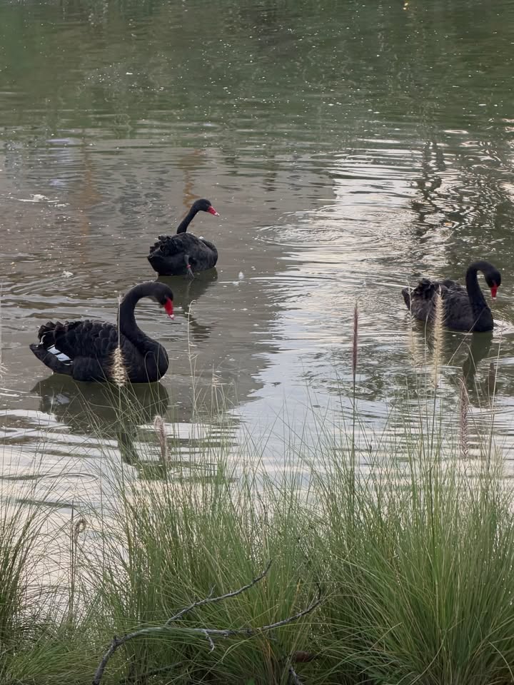 เอิร์ธ - กัษมนณัฏฐ์ นามวิโรจน์