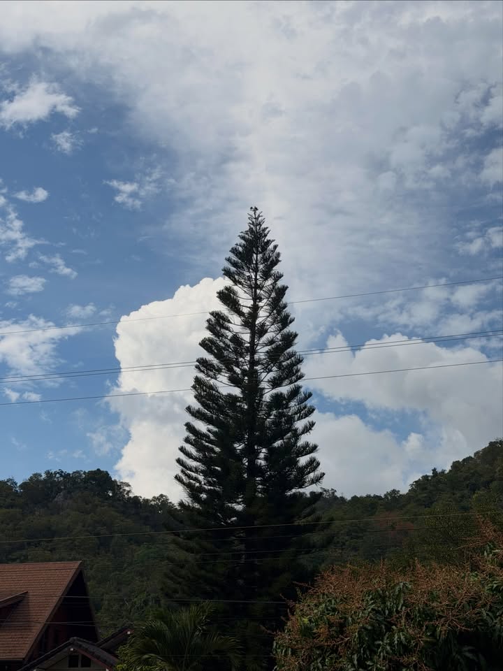 เอิร์ธ - กัษมนณัฏฐ์ นามวิโรจน์