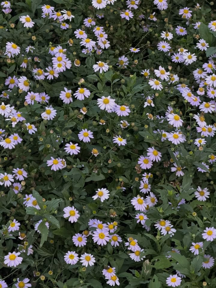 เอิร์ธ - กัษมนณัฏฐ์ นามวิโรจน์