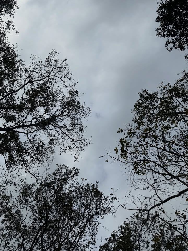 เอิร์ธ - กัษมนณัฏฐ์ นามวิโรจน์