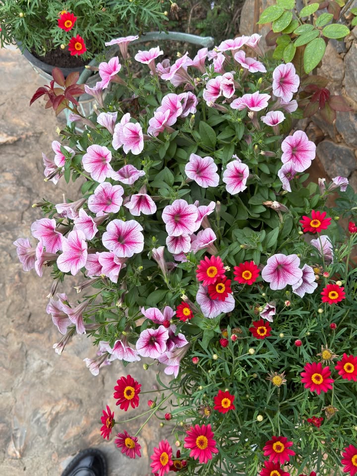 เอิร์ธ - กัษมนณัฏฐ์ นามวิโรจน์