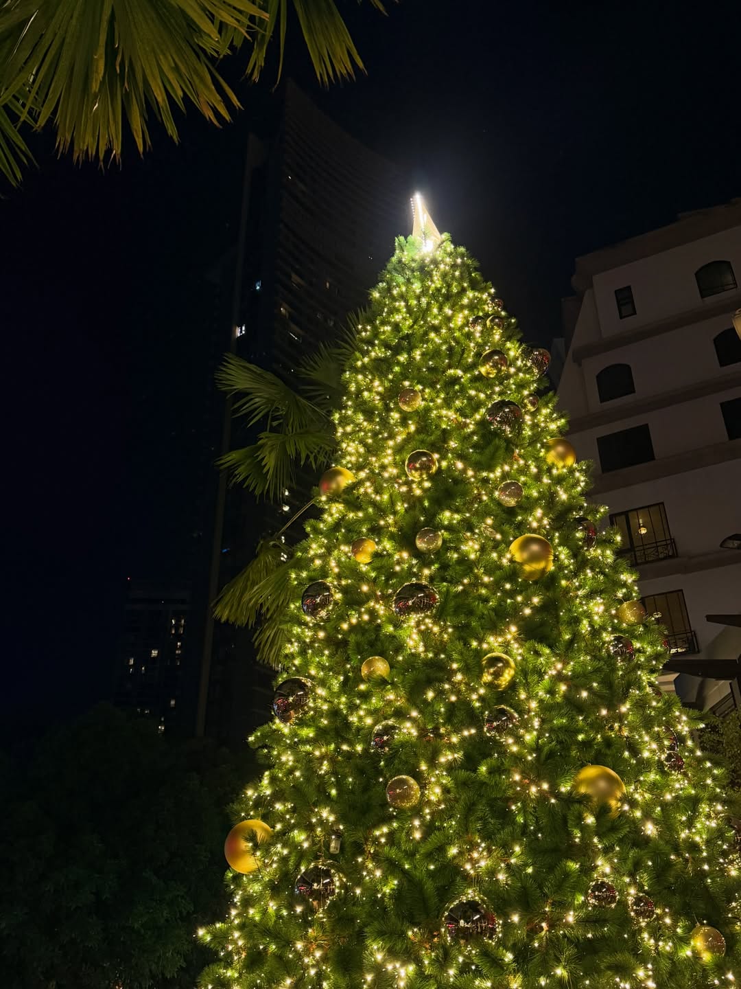 เอิร์ธ - กัษมนณัฏฐ์ นามวิโรจน์