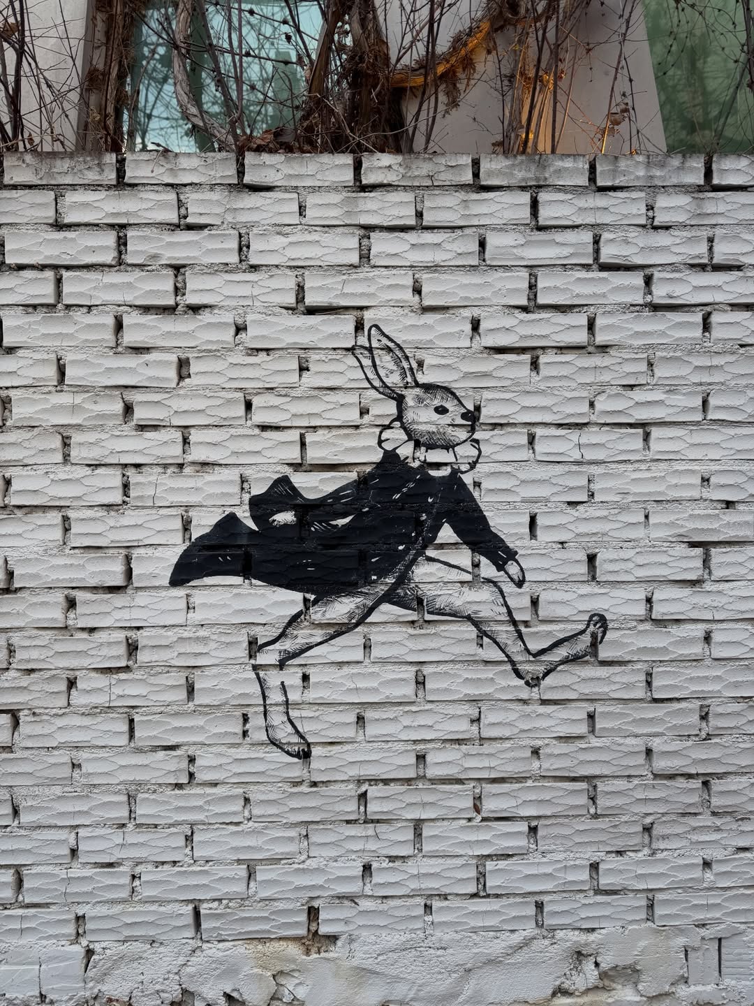 เอิร์ธ - กัษมนณัฏฐ์ นามวิโรจน์