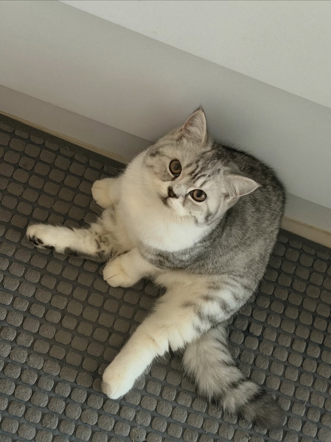 เอิร์ธ - กัษมนณัฏฐ์ นามวิโรจน์