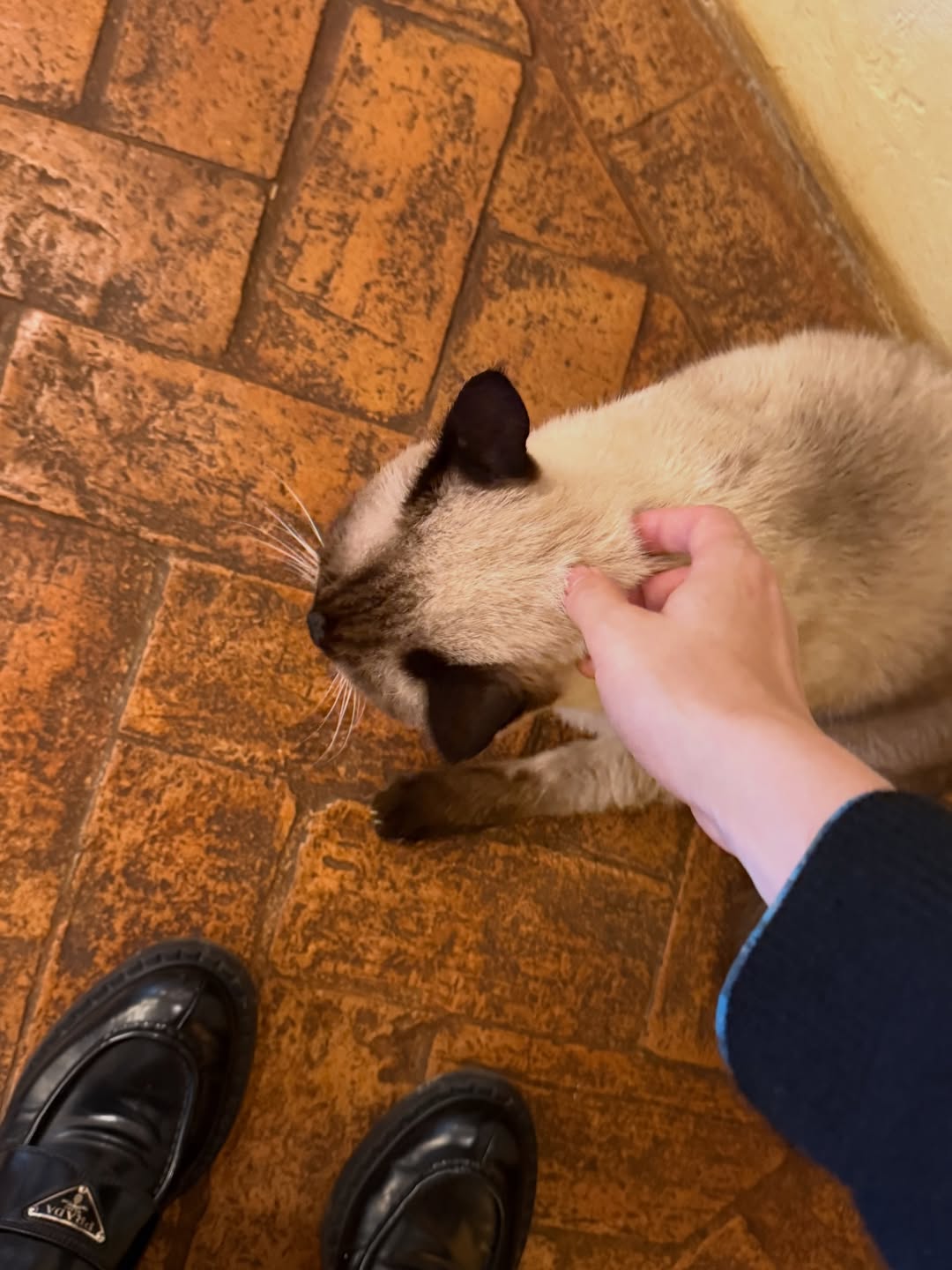 เอิร์ธ - กัษมนณัฏฐ์ นามวิโรจน์