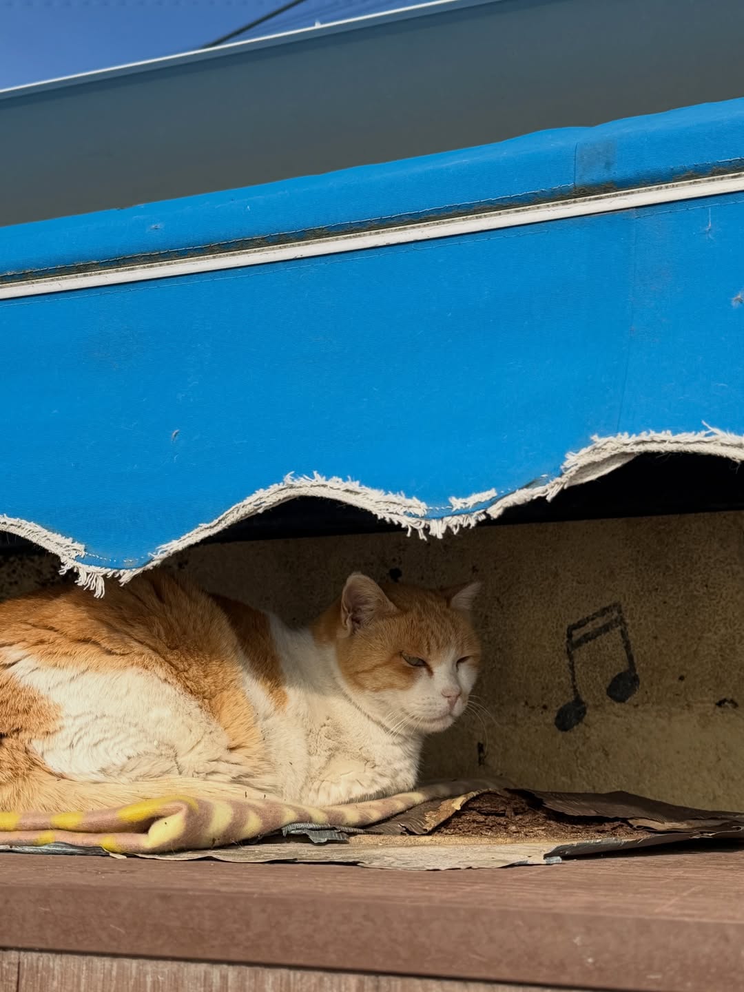 เอิร์ธ - กัษมนณัฏฐ์ นามวิโรจน์