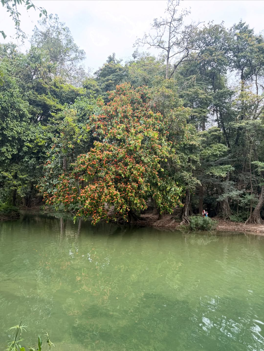 เอิร์ธ - กัษมนณัฏฐ์ นามวิโรจน์